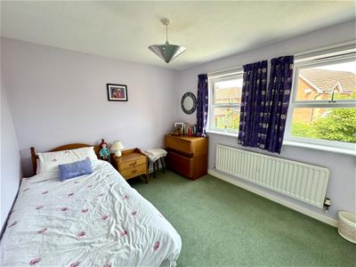 Picture 21